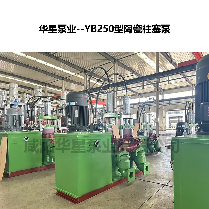 YB250節(jié)能型陶瓷柱塞泵-02