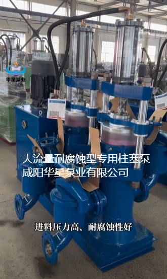 大流量耐腐蝕型專用柱塞泵-02